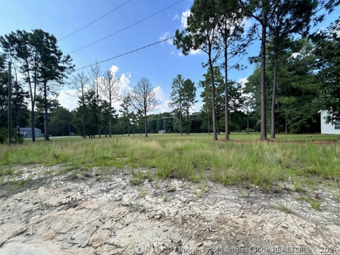 Tiny photo for 813 Wiregrass Road, Hamlet, NC 28345 (MLS # 768853)