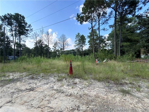 Tiny photo for 813 Wiregrass Road, Hamlet, NC 28345 (MLS # 768853)