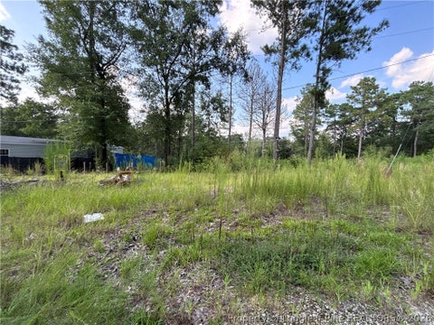 Photo of 813 Wiregrass Road, Hamlet, NC 28345 (MLS # 768853)