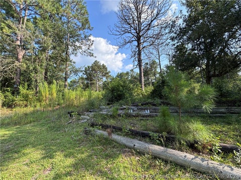 Tiny photo for 813 Wiregrass Road, Hamlet, NC 28345 (MLS # 768853)