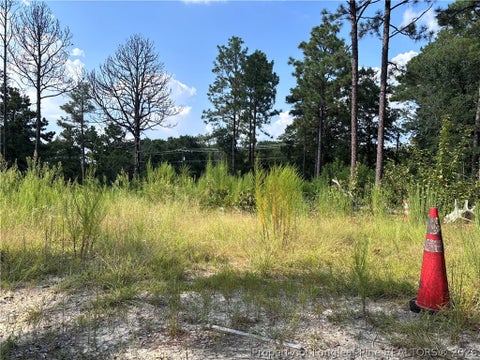 Tiny photo for 813 Wiregrass Road, Hamlet, NC 28345 (MLS # 768853)