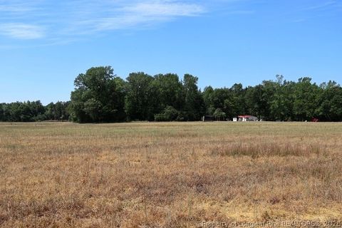 Tiny photo for TBD N Duffie Road, Red Springs, NC 28377 (MLS # 761679)