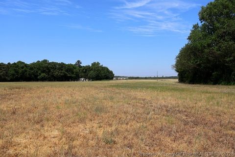 Tiny photo for TBD N Duffie Road, Red Springs, NC 28377 (MLS # 761679)