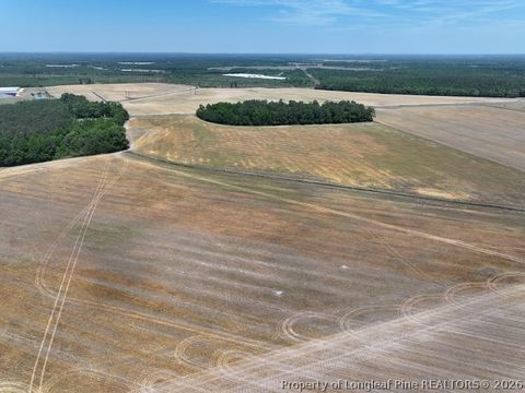 Tiny photo for TBD N Duffie Road, Red Springs, NC 28377 (MLS # 761679)
