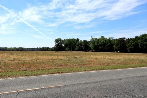 Tiny photo for TBD N Duffie Road, Red Springs, NC 28377 (MLS # 761679)