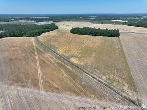 Photo of TBD N Duffie Road, Red Springs, NC 28377 (MLS # 761679)