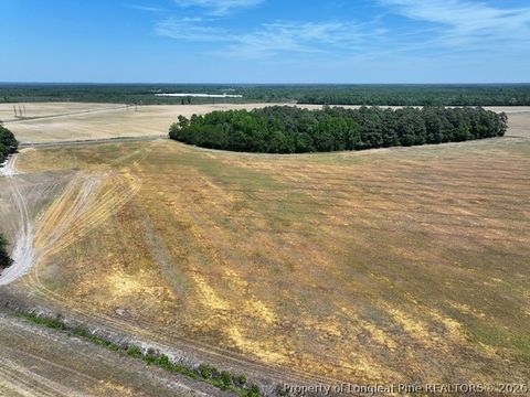 Tiny photo for TBD N Duffie Road, Red Springs, NC 28377 (MLS # 761679)