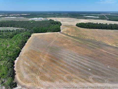 Tiny photo for TBD N Duffie Road, Red Springs, NC 28377 (MLS # 761679)