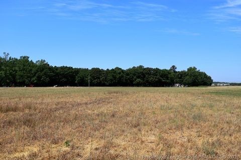 Tiny photo for TBD N Duffie Road, Red Springs, NC 28377 (MLS # 761679)