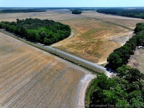 Tiny photo for TBD N Duffie Road, Red Springs, NC 28377 (MLS # 761679)