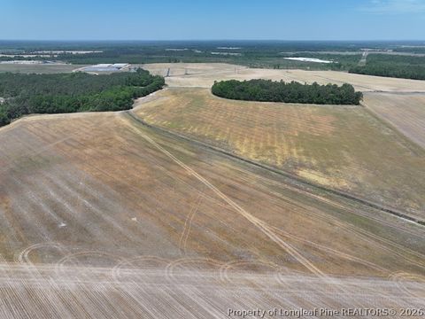 Tiny photo for TBD N Duffie Road, Red Springs, NC 28377 (MLS # 761679)