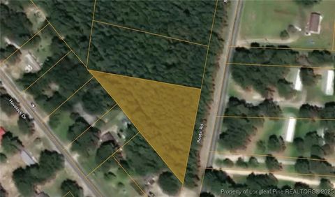 Tiny photo for TBD BOSTIC (LOT 14) Road, Laurinburg, NC 28352 (MLS # 754901)