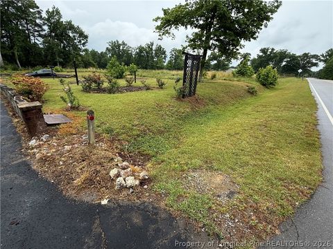 Tiny photo for 3419 Chris Cole Road, Sanford, NC 27332 (MLS # 762474)