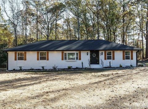 Photo of 3419 Chris Cole Road, Sanford, NC 27332 (MLS # 762474)