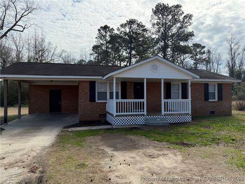 Photo of 1047 Pleasant Hope Road, Lumberton, NC 28358 (MLS # 756385)
