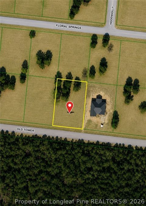 Photo of Lt 94 Old Tower Road, Lumberton, NC 28360 (MLS # 765653)