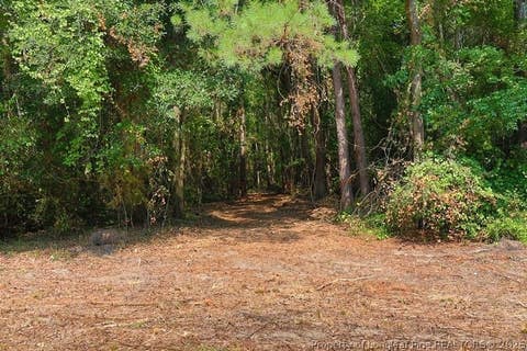 Tiny photo for TBD Kehukee Drive, Parkton, NC 28371 (MLS # 753980)
