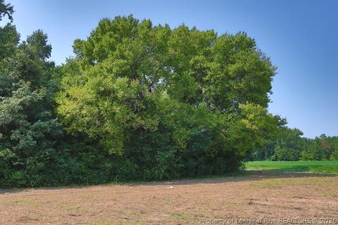 Tiny photo for TBD Kehukee Drive, Parkton, NC 28371 (MLS # 753980)