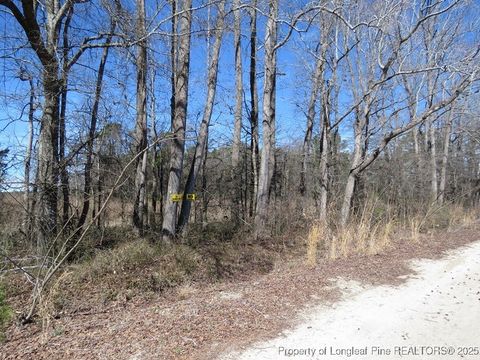 Tiny photo for TBD Kehukee Drive, Parkton, NC 28371 (MLS # 753980)