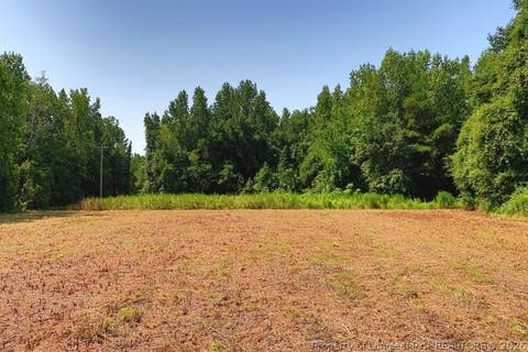 Tiny photo for TBD Kehukee Drive, Parkton, NC 28371 (MLS # 753980)