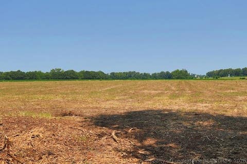 Tiny photo for TBD Kehukee Drive, Parkton, NC 28371 (MLS # 753980)