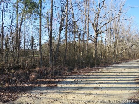 Tiny photo for TBD Kehukee Drive, Parkton, NC 28371 (MLS # 753980)