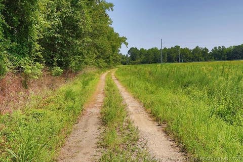 Tiny photo for TBD Kehukee Drive, Parkton, NC 28371 (MLS # 753980)