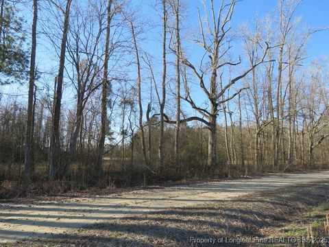 Tiny photo for TBD Kehukee Drive, Parkton, NC 28371 (MLS # 753980)