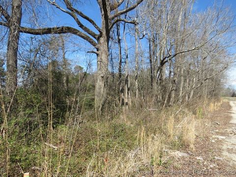 Tiny photo for TBD Kehukee Drive, Parkton, NC 28371 (MLS # 753980)