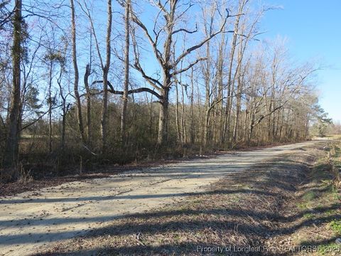 Tiny photo for TBD Kehukee Drive, Parkton, NC 28371 (MLS # 753980)