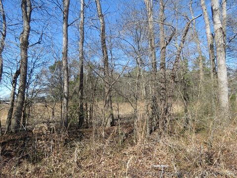 Tiny photo for TBD Kehukee Drive, Parkton, NC 28371 (MLS # 753980)