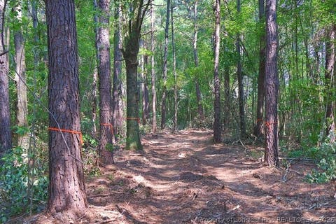 Tiny photo for TBD Kehukee Drive, Parkton, NC 28371 (MLS # 753980)