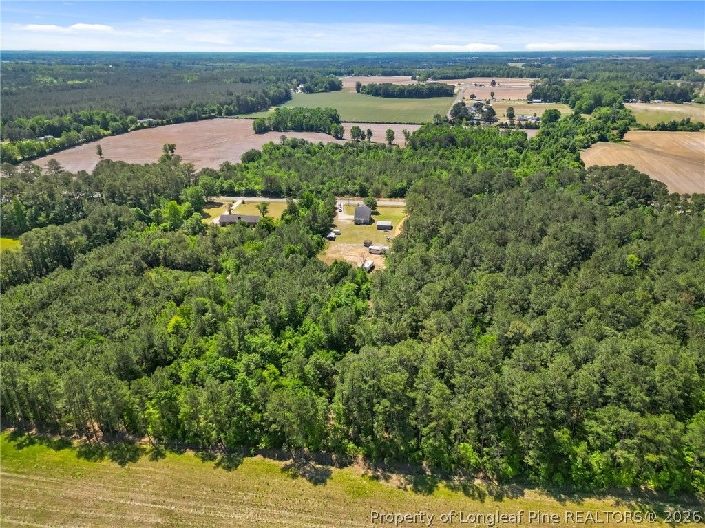Photo of 2068 Hayes Mill Road, Godwin, NC 28344 (MLS # 760863)