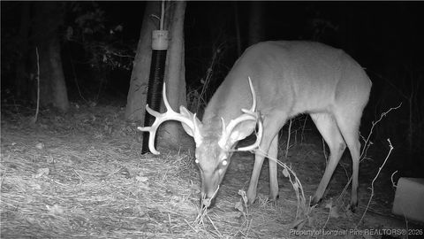 Tiny photo for 196 Autumn Drive, Vass, NC 28394 (MLS # 756405)