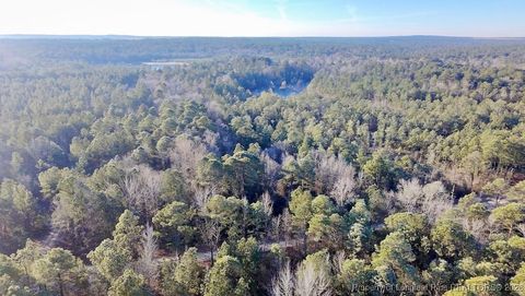 Tiny photo for 196 Autumn Drive, Vass, NC 28394 (MLS # 756405)