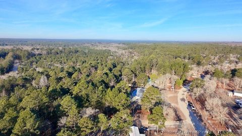 Tiny photo for 196 Autumn Drive, Vass, NC 28394 (MLS # 756405)