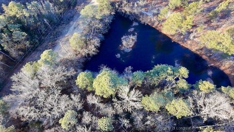 Tiny photo for 196 Autumn Drive, Vass, NC 28394 (MLS # 756405)