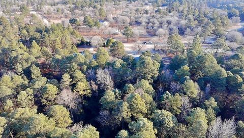 Tiny photo for 196 Autumn Drive, Vass, NC 28394 (MLS # 756405)