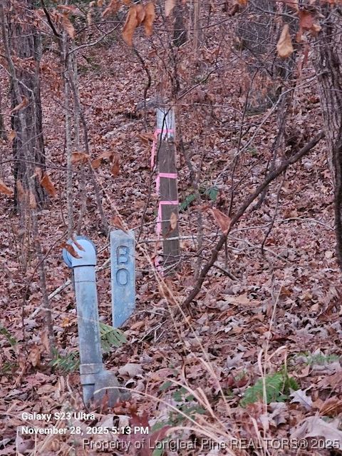 Tiny photo for Lot #37 Natchez Trace Trce, Fuquay Varina, NC 27526 (MLS # 754229)