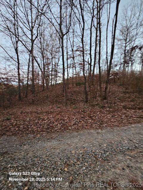 Tiny photo for Lot #37 Natchez Trace Trce, Fuquay Varina, NC 27526 (MLS # 754229)