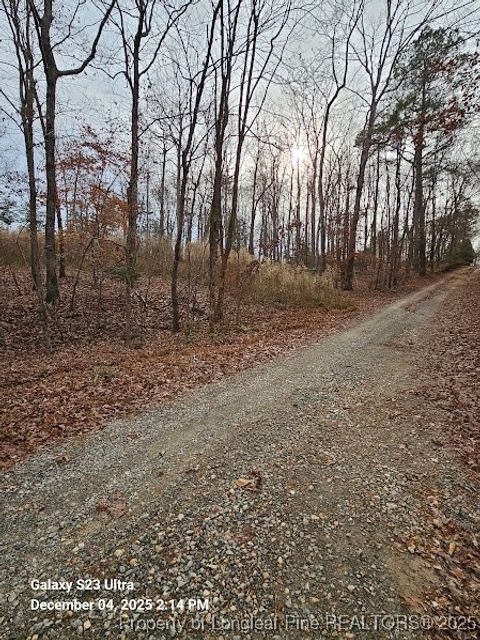 Tiny photo for Lot #37 Natchez Trace Trce, Fuquay Varina, NC 27526 (MLS # 754229)