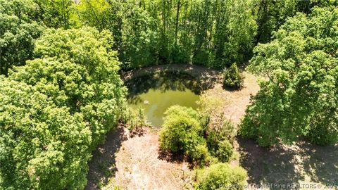Tiny photo for 435 Thomas Way, Cameron, NC 28326 (MLS # 761474)