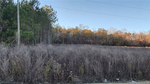 Tiny photo for Old Stage Road, Fairmont, NC 28340 (MLS # 755251)