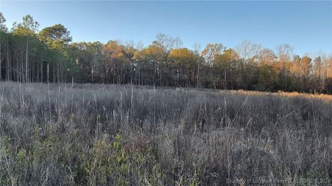 Tiny photo for Old Stage Road, Fairmont, NC 28340 (MLS # 755251)