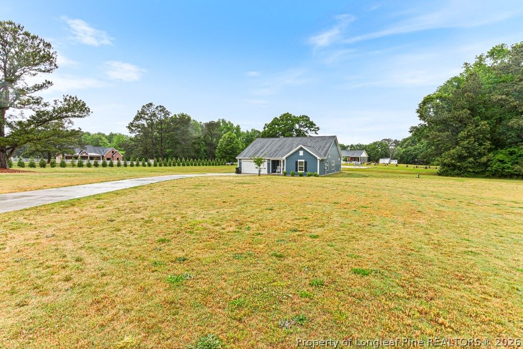 Photo of 405 Thorny Branch Drive, Raleigh, NC 27603 (MLS # 761135)