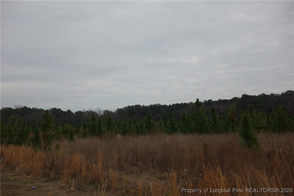 35 STUARTS MILL RD, FAIRMONT, NC 28340 - Image 53f0533405f00fd1aac8d428804d35f6/650845995
