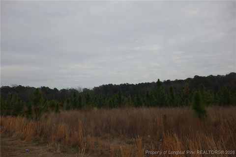 Photo of Lot 36 Stuarts Mill Road, Fairmont, NC 28340 (MLS # 756645)