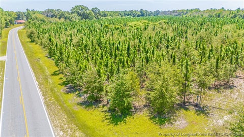 Tiny photo for TBD Blue Springs Road, Red Springs, NC 28377 (MLS # 767998)