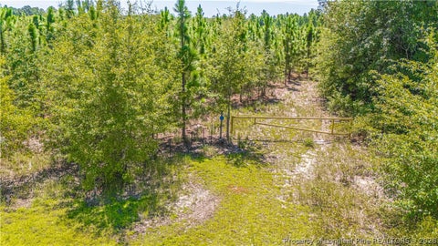 Tiny photo for TBD Blue Springs Road, Red Springs, NC 28377 (MLS # 767998)