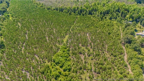 Tiny photo for TBD Blue Springs Road, Red Springs, NC 28377 (MLS # 767998)
